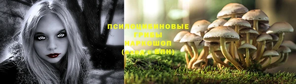 прущая мука Арсеньев