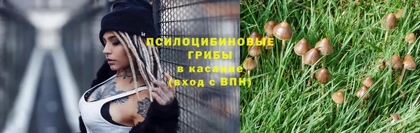 прущая мука Арсеньев